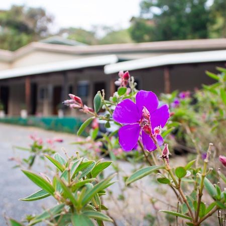 Natuera Hotel Monteverde 외부 사진