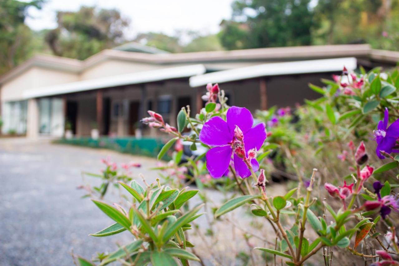 Natuera Hotel Monteverde 외부 사진